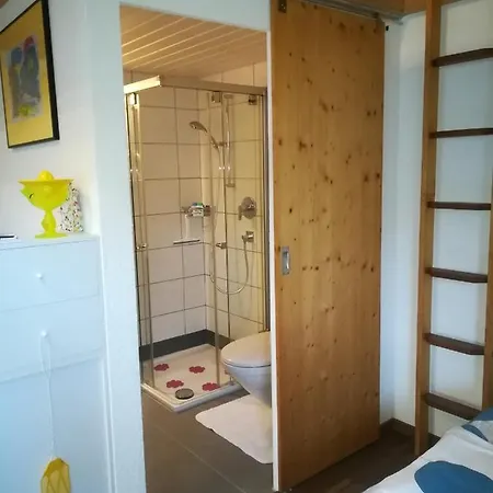 Montanara Apartment Meiringen